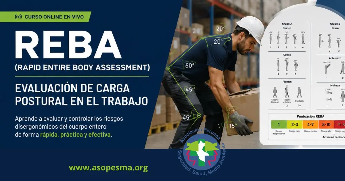 Importancia del Curso
